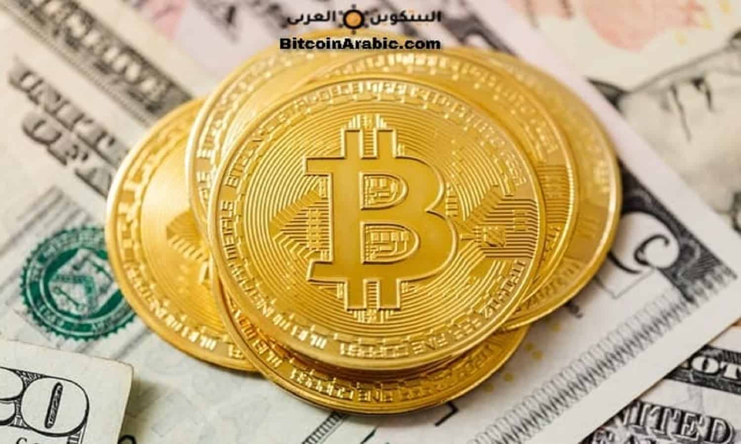 دور المؤسسات المالية في تحديد سعر البيتكوين